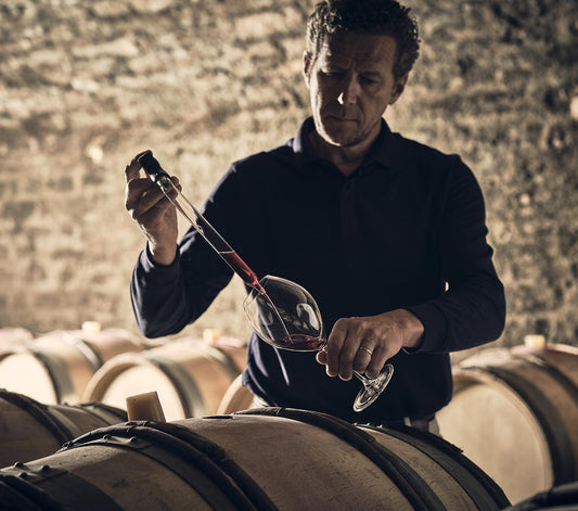 Wine Tasting with Domaine David Duband